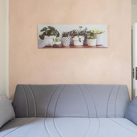 Apartment Il Gabbiano By Interhome Αλάσιο Εξωτερικό φωτογραφία